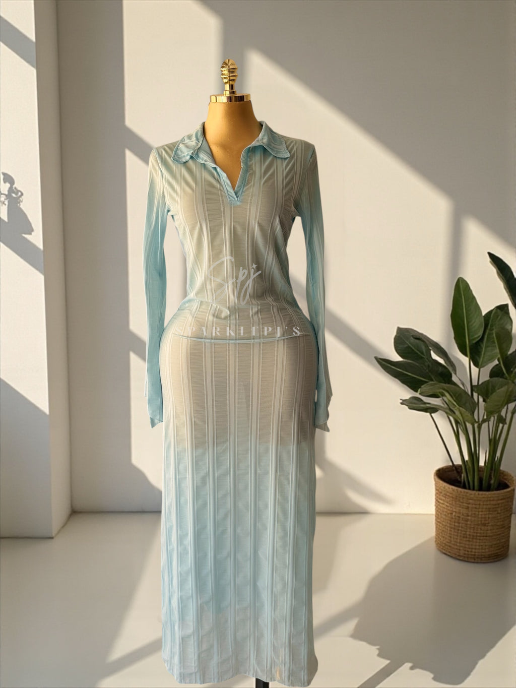 Sheer Elegance Maxi Dress
