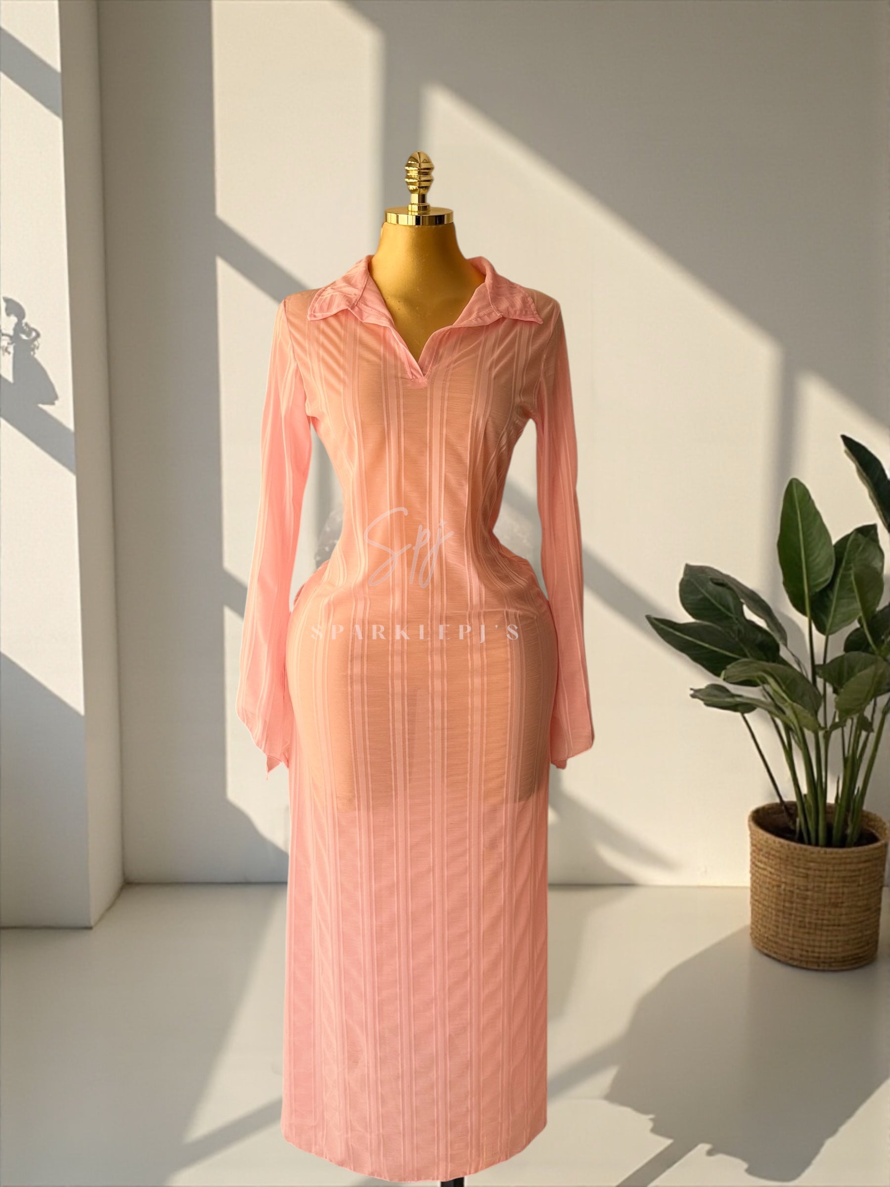 Sheer Elegance Maxi Dress
