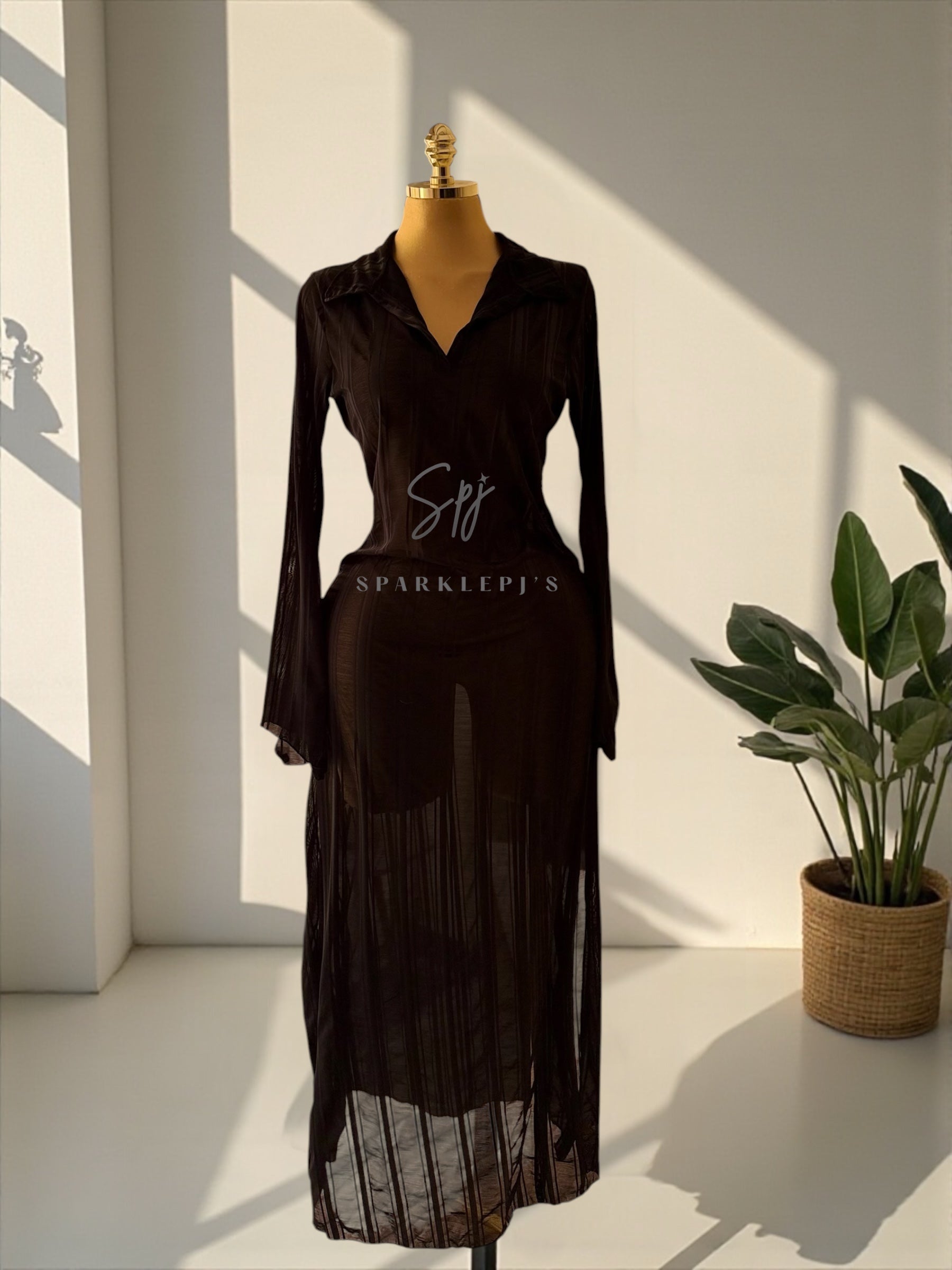 Sheer Elegance Maxi Dress