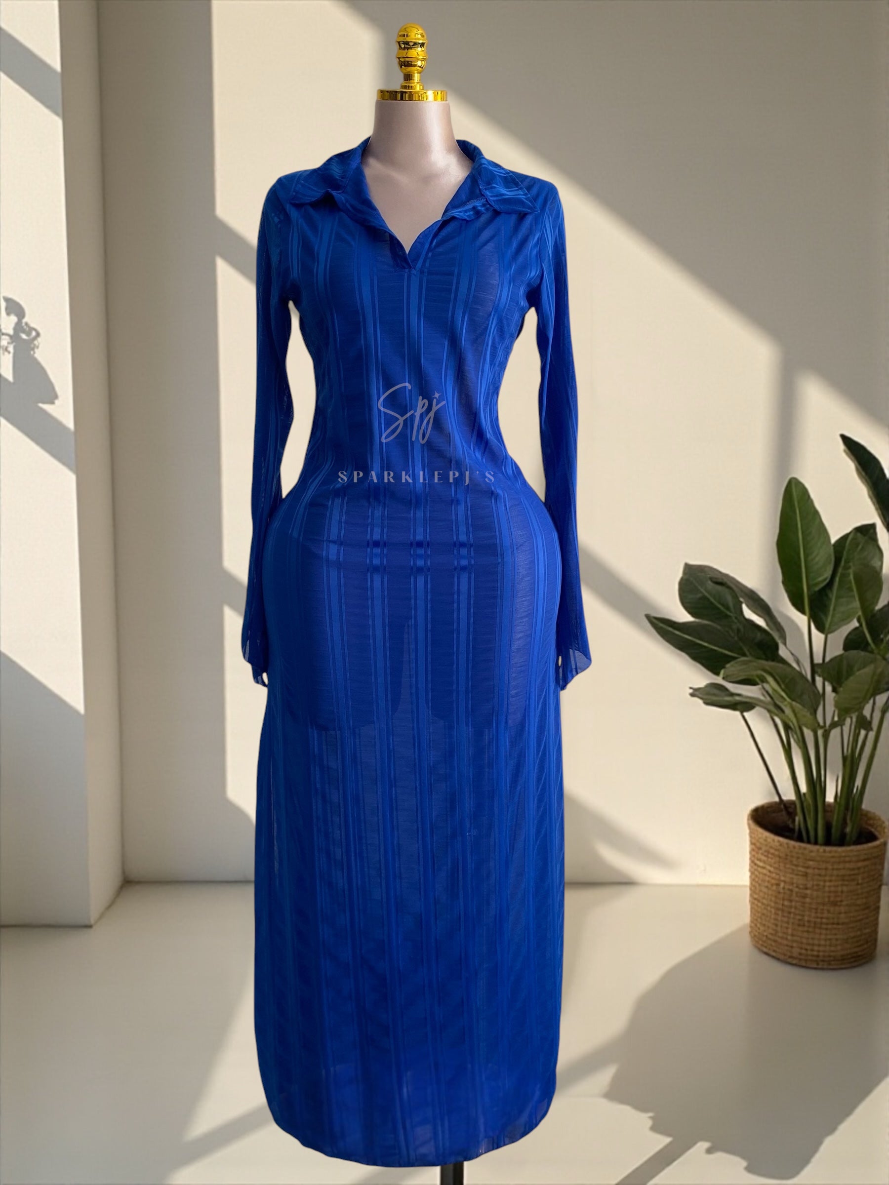 Sheer Elegance Maxi Dress