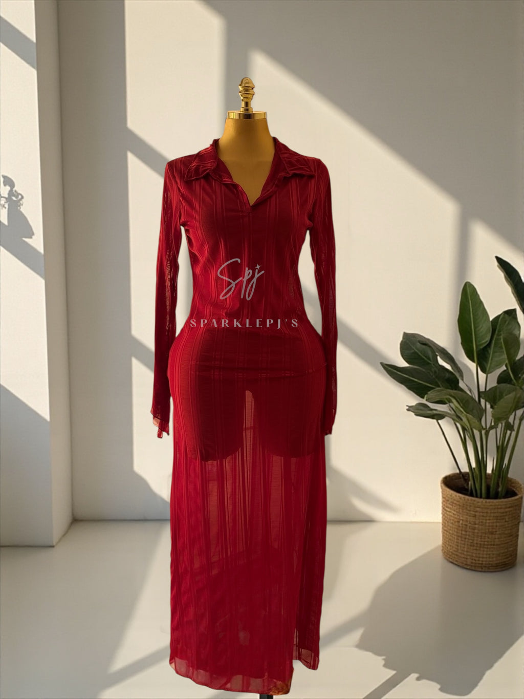 Sheer Elegance Maxi Dress