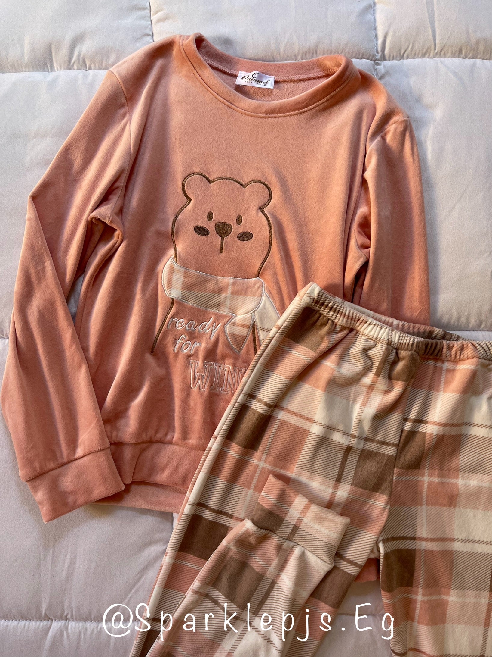 Sweet teddy dreams