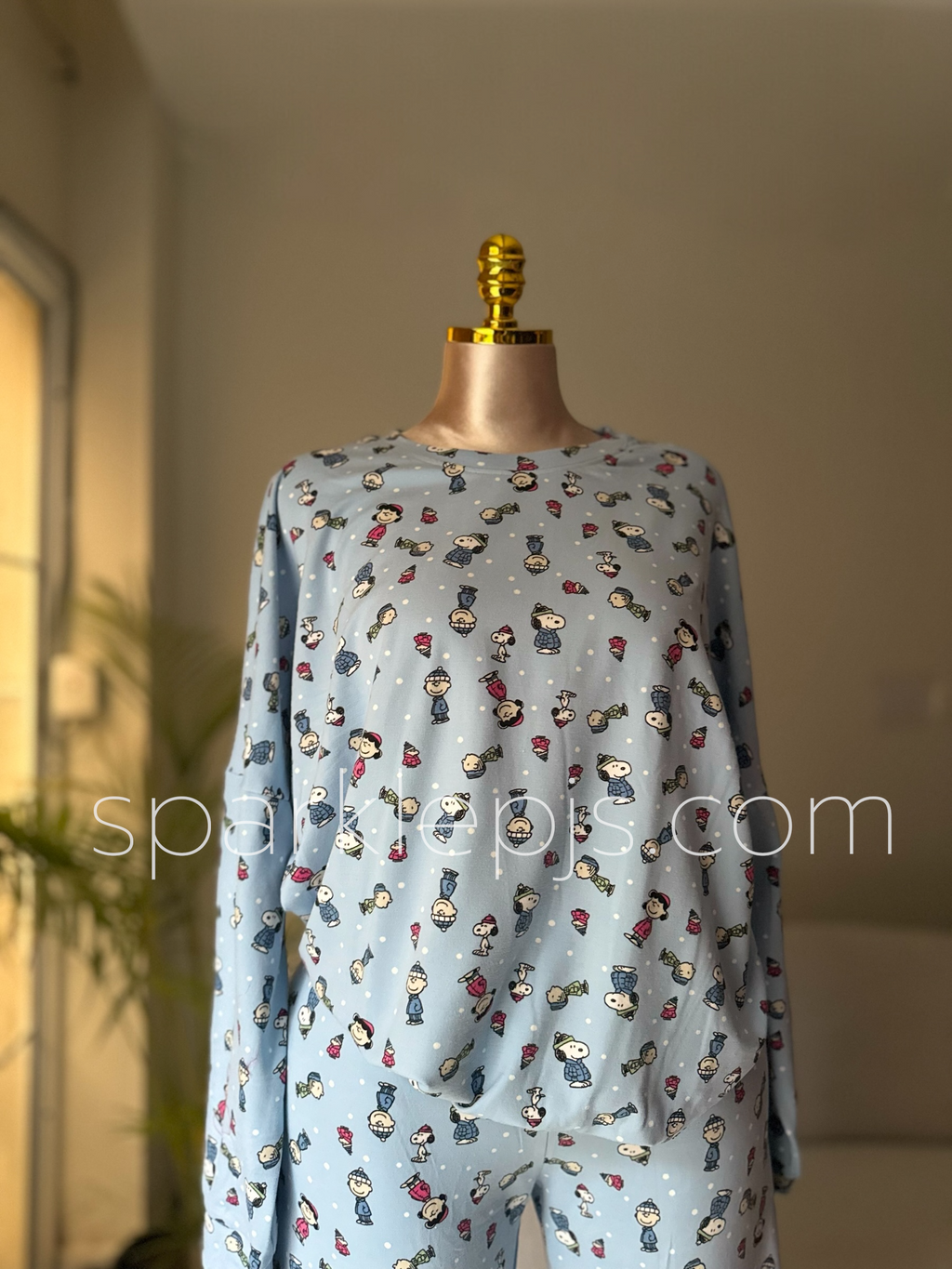 Charlie Brown's Cozy Companion