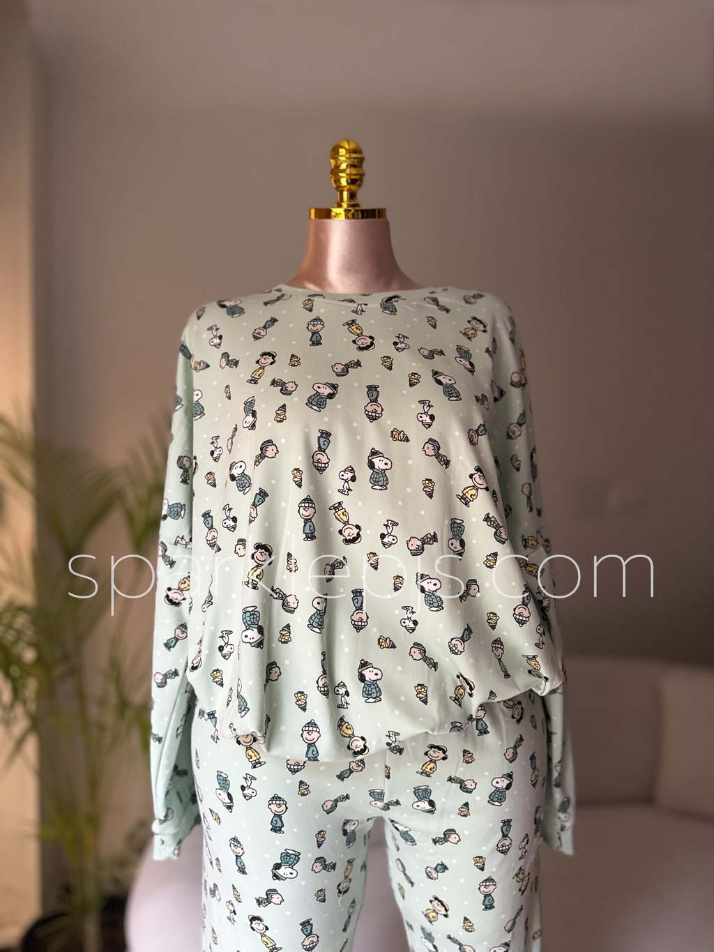 Charlie Brown's Cozy Companion