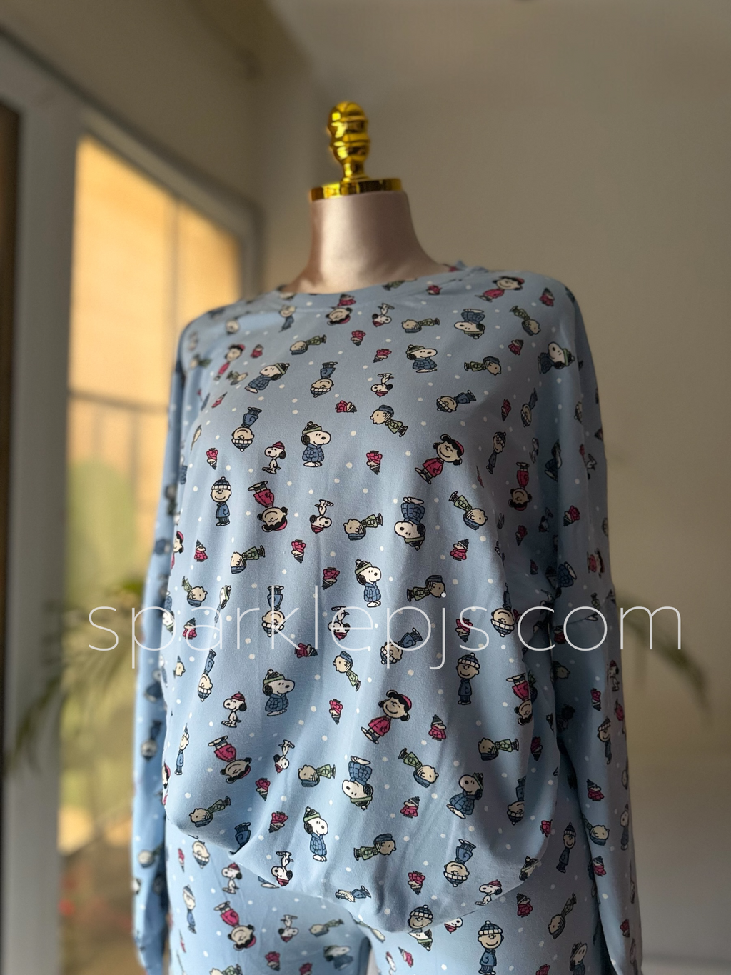Charlie Brown's Cozy Companion