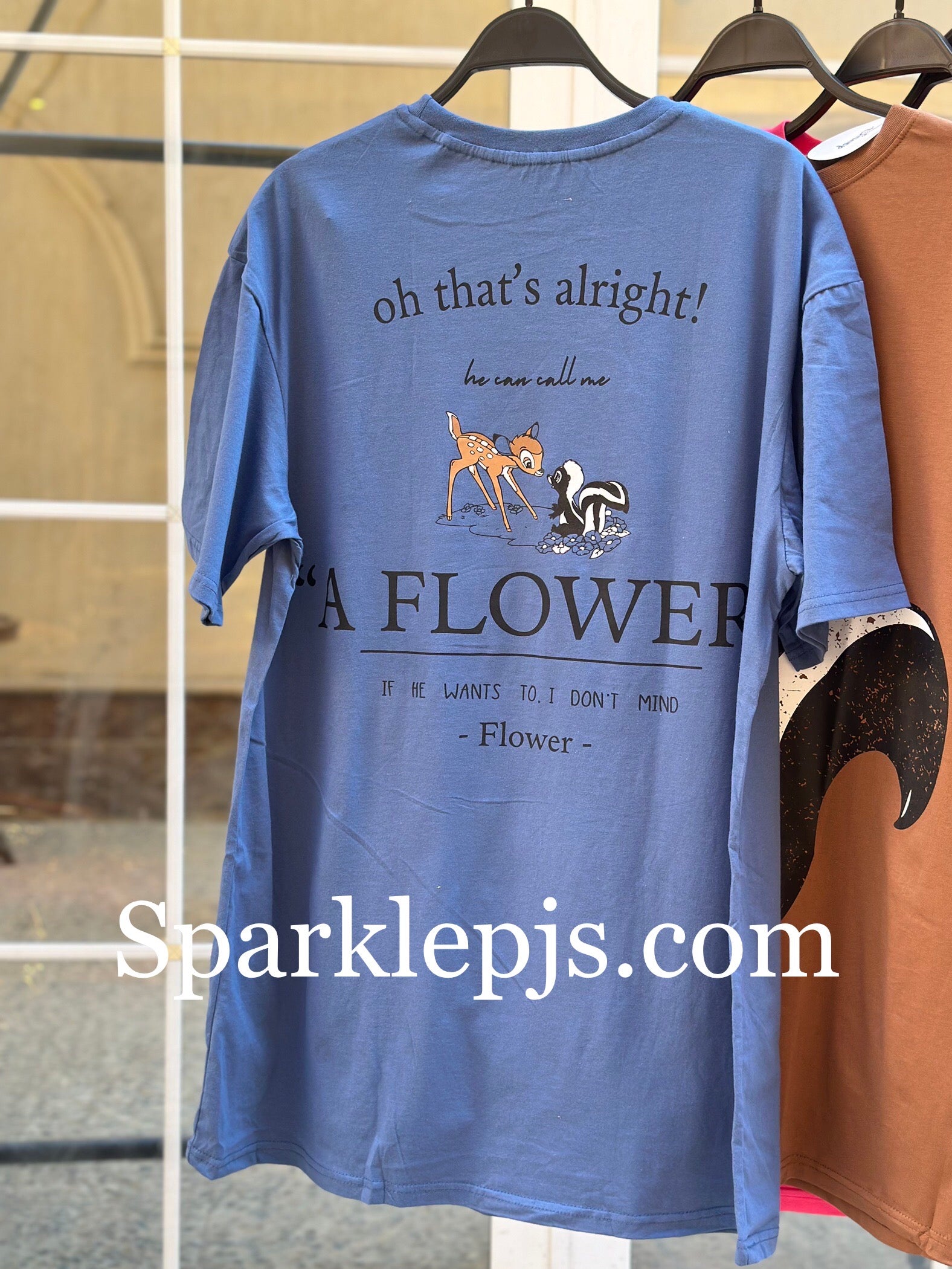 Bambi Nightshirt primark